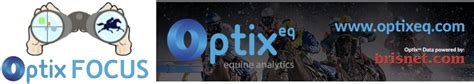 optix eq|OptixFOCUS TOOLBOX (PACE) – optixEQ (C) EquiLytix LLC.